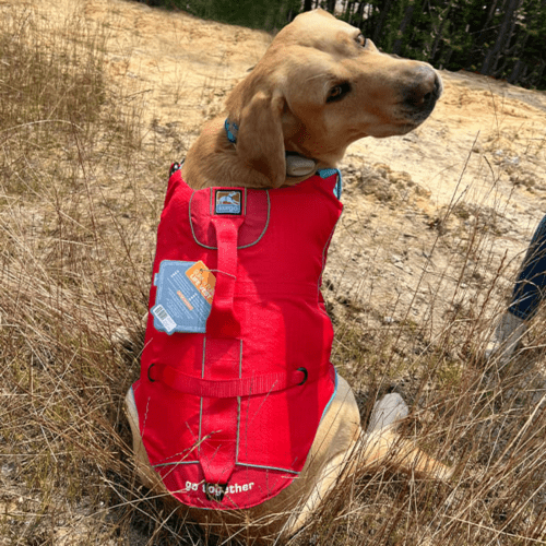 Surf Turf Life Jacket4