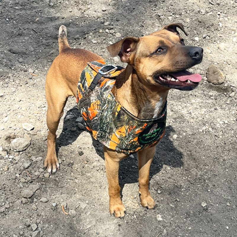 Swamp Dawg Half Bay Vest