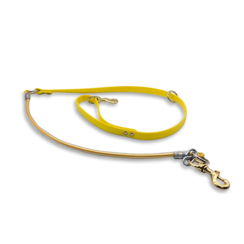 beta cable leash school bus