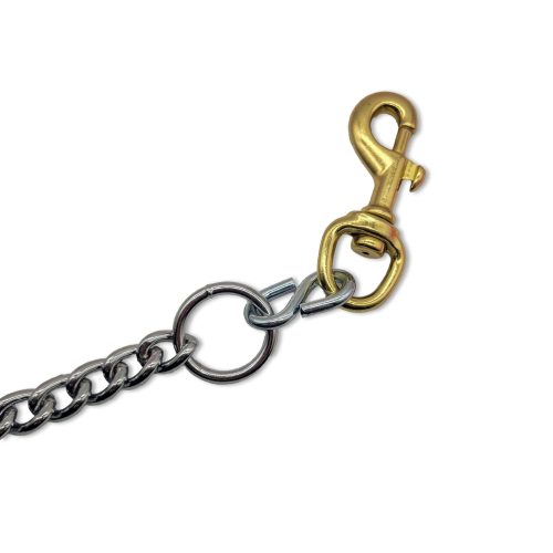 beta chain leash clip