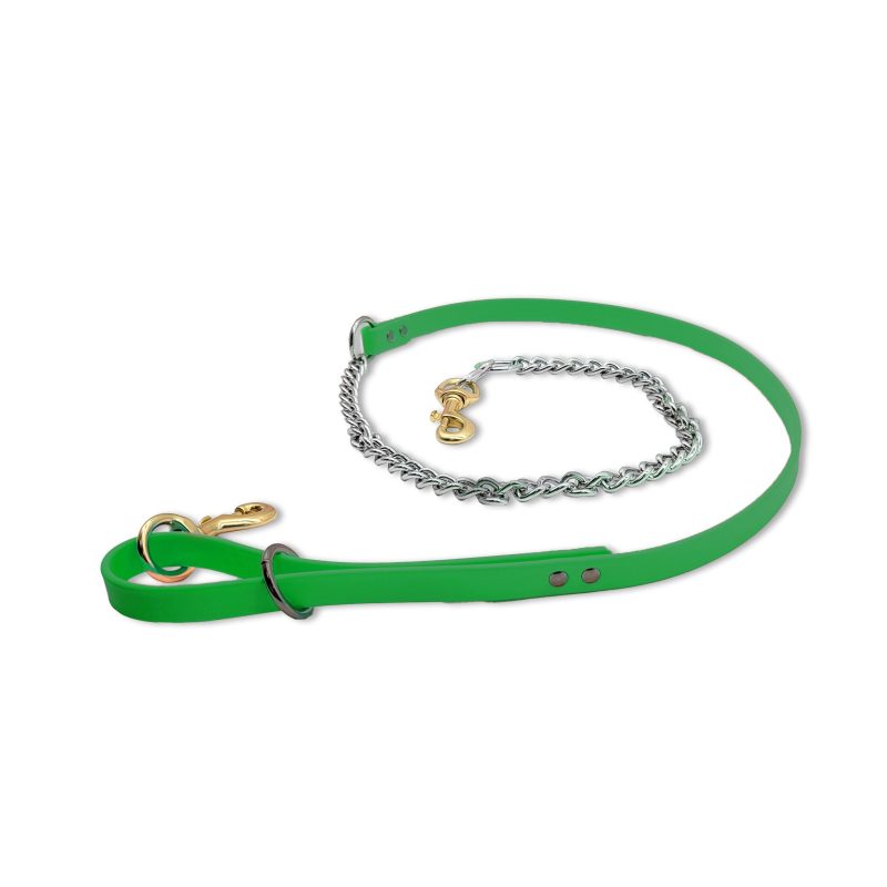 beta chain leash green