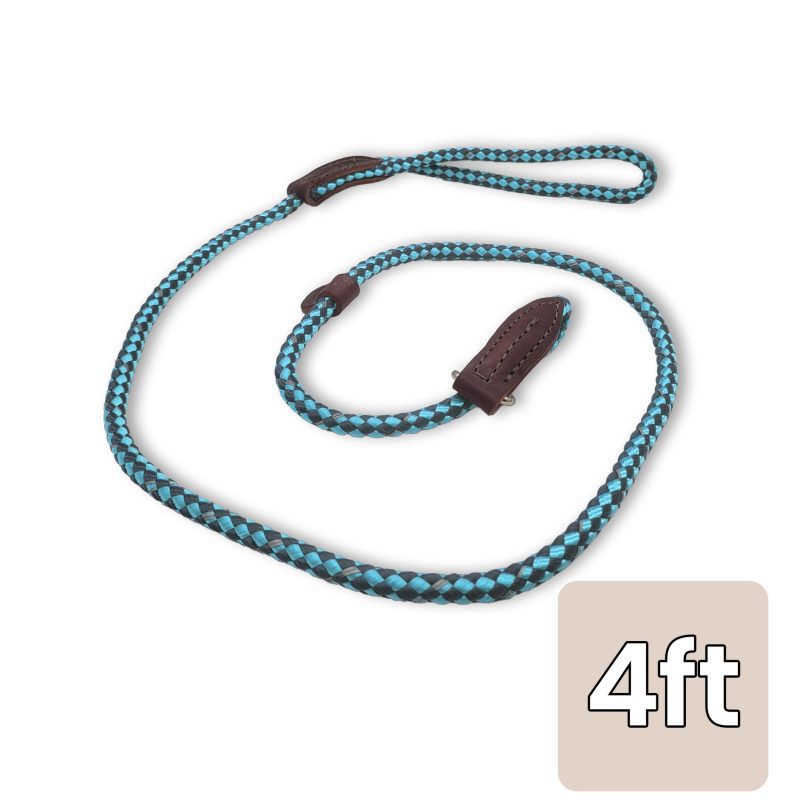 british slip leash 4ft blue