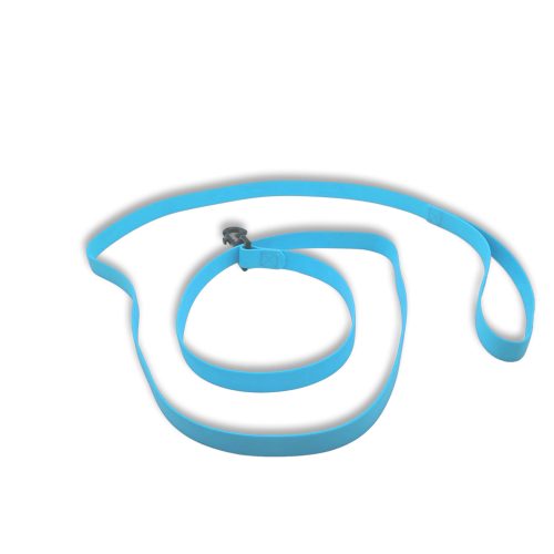 carnival leash blue