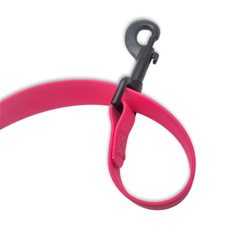 carnival leash clip