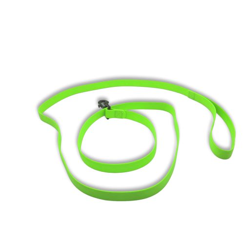 carnival leash green