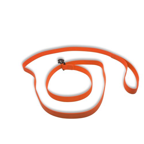 carnival leash orange