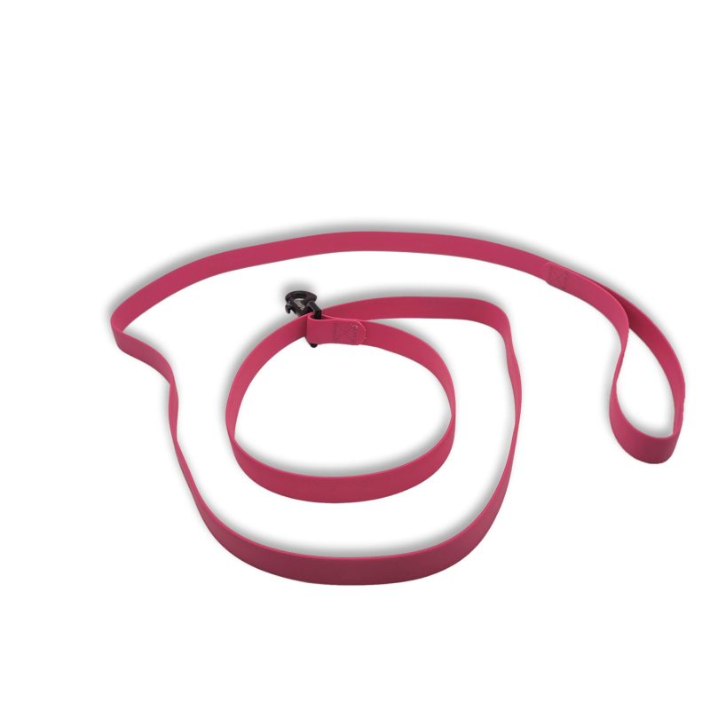 carnival leash pink