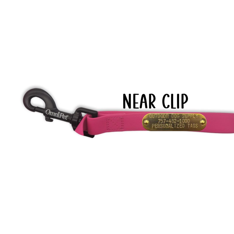 carnival leash tag clip