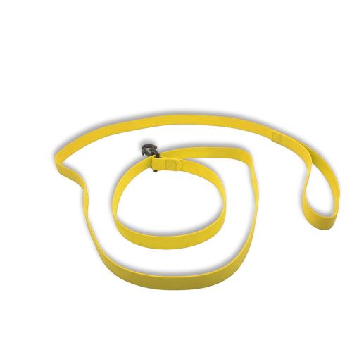 carnival leash yellow