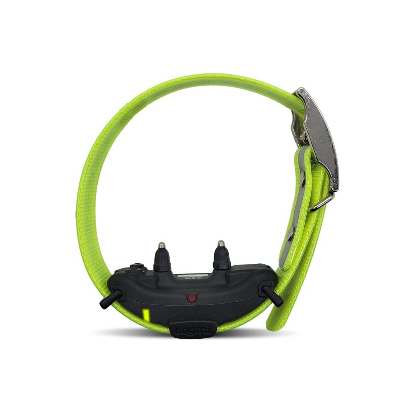 dogtra arc combo collar front