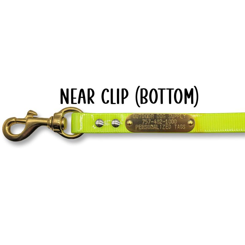 flat leash tag clip