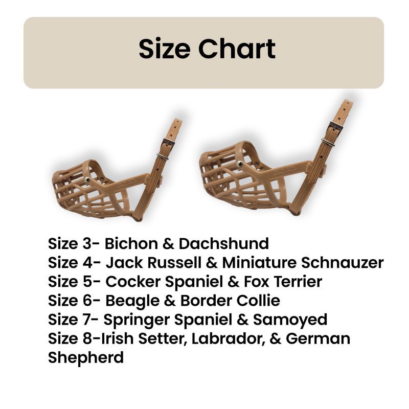 itlian muzzle size chart