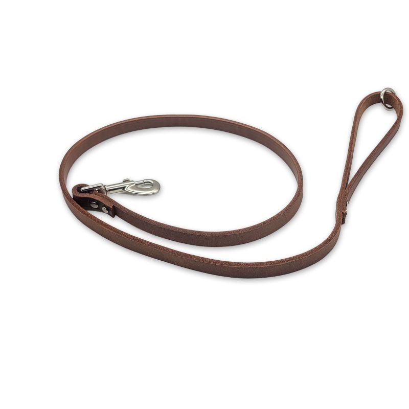 leather leash 1 dog