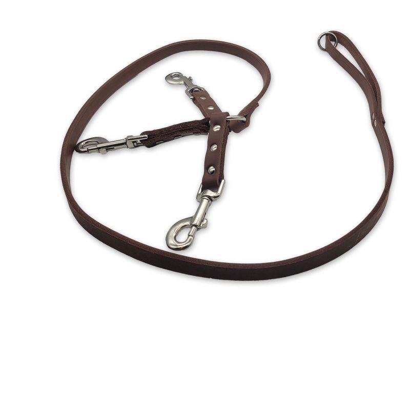 leather leash 3 dog