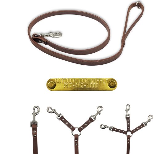 leather leash main